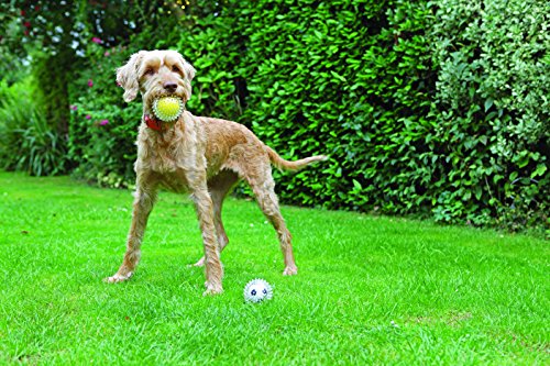 Rosewood Jolly Perro Catch y Jugar Pelota de Tenis para Perros