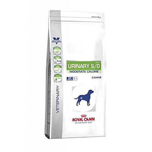 ROYAL CANIN Alimento para Perros Urinary MC - 12 kg
