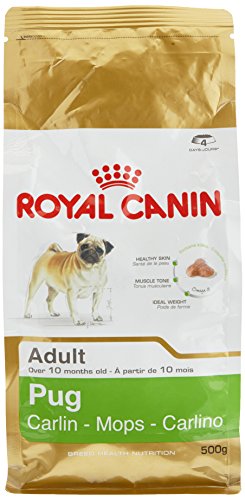ROYAL CANIN Pug - Comida para Perros Adultos, 0,5 kg