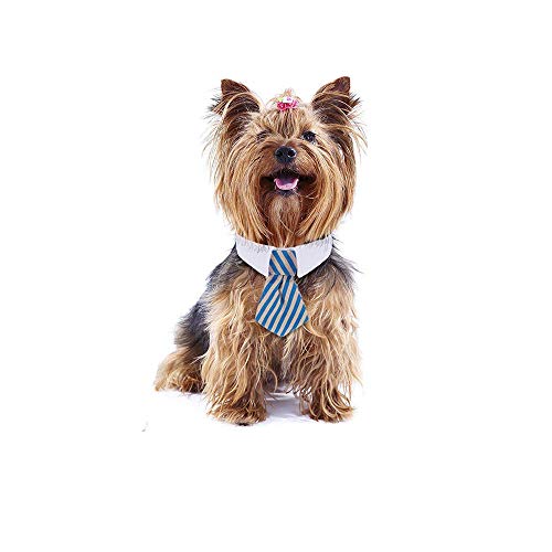 4 Piezas Corbatas y Pajarita Ajustables de Mascotas Perros Gatos Collar de Disfraz de Mascota para Perros Pequeños Accesorios para Preparación de Cachorro (S)