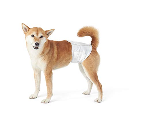 AmazonBasics - Pañal desechable para perro macho, S, paquete de 30 unidades