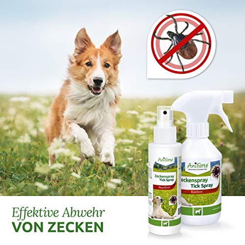 AniForte Spray contra garrapatas para perros 250ml - Protección contra garrapatas, pulgas, ácaros y parásitos, spray anti garrapatas, repelente de garrapatas, spray para insectos