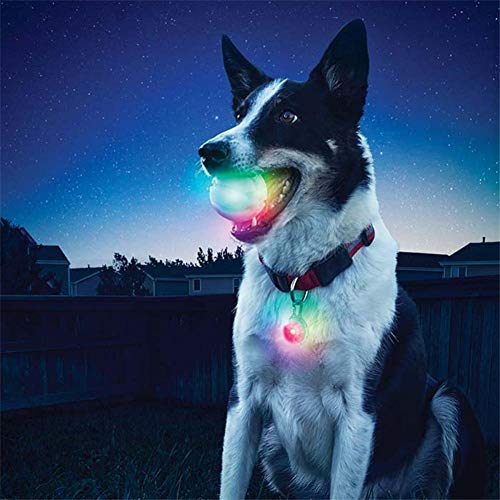 Augproveshak Pelota de juguete para mascotas, con luces LED, para perros, resistente a mordiscos, juguete divertido para mascotas
