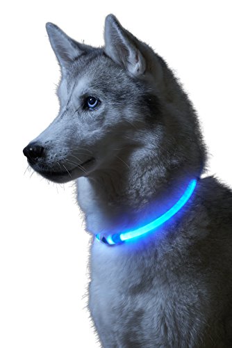 Auraglow Collar de Seguridad para Perros con Luz Super Brillante LED Intermitente de Alta Visibilidad