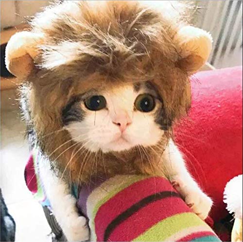 Bello Luna Lion Mane para Gato y Perro pequeño Disfraz de Gato Fancy Lion Hair para Halloween Christmas-M