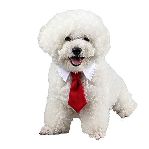 BERYLX - Collar con Pajarita para Mascota, Collar con Corbata, Cuello de Perro, Gato, Pajarita con Ajustable para Accesorios de Aseo para Gatos y Cachorros