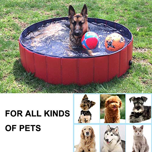 Bingopaw Piscina Plegable para Mascotas Bañera Portátil para Perros y Gatos Material de PVC Antideslizante y Resistente Adecuado para Interior al Aire Libre (120 x 30cm)