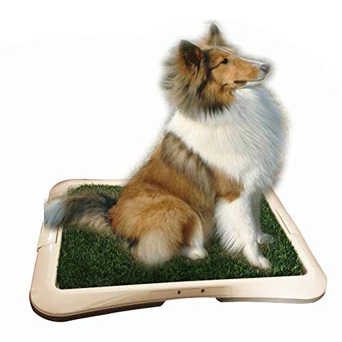 BPS Bandeja Sanitaria para Perros de Adecuado para Perra Adiestramiento Inodoro Interior para Perros Aseo Mascotas Plástico Color al Azar (Hierba: 64 x 48 x 4 cm) BPS-5704