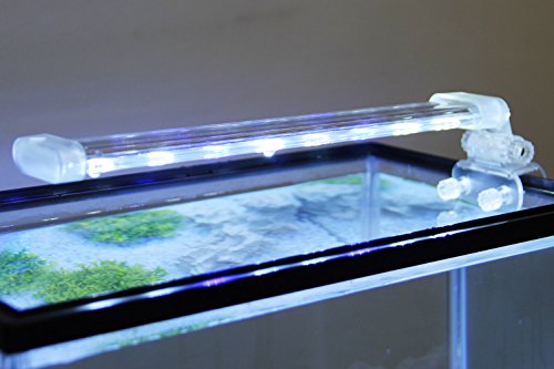 BPS® Lámpara de Acuario LED Iluminación Luces para Plantas Sumergible Luz Blanco y Azul 2 Modelos para Elegir 4W/8W (8W: 300 x 40 mm) BPS-6872
