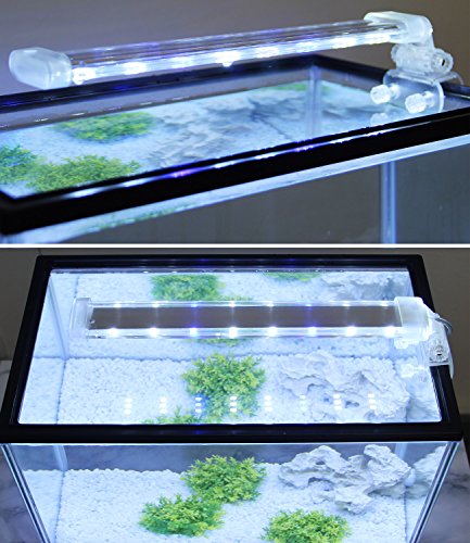 BPS® Lámpara de Acuario LED Iluminación Luces para Plantas Sumergible Luz Blanco y Azul 2 Modelos para Elegir 4W/8W (8W: 300 x 40 mm) BPS-6872