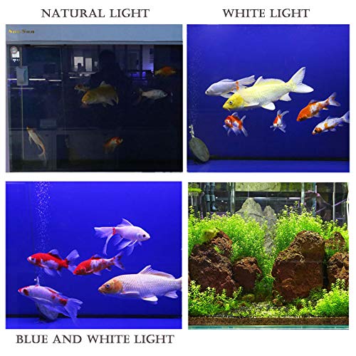 BPS Luz Blanca/Azul LED de Sumergible de Acuario Peces Tanque Clip Lámpara Iluminación de Plantas de Acuario con Luz con Diferente Voltaje Longitud (1W 20cm, Luz Blanca) BPS-6164
