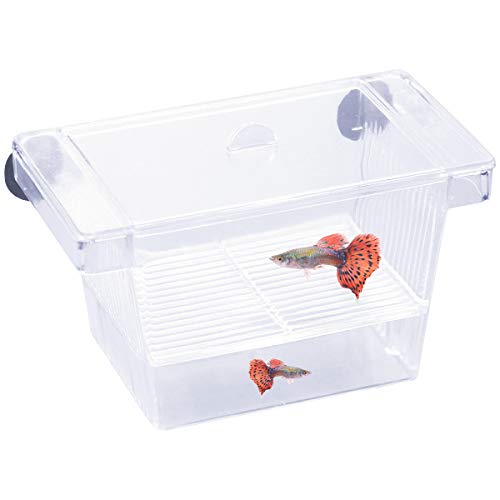Caja de aislamiento de cría Bandeja de desove flotante Bandeja de desove para peces, caja de criador de peces de plástico transparente con 2 ventosas para acuario