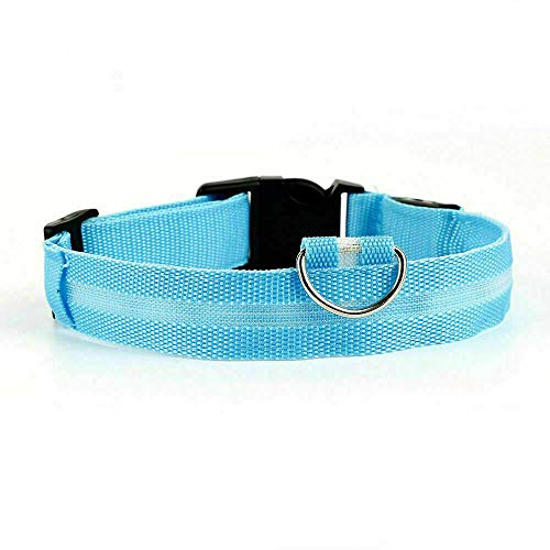 Collar de perro carlino LED azul tamaño S recargable con luz de seguridad y cable de carga USB