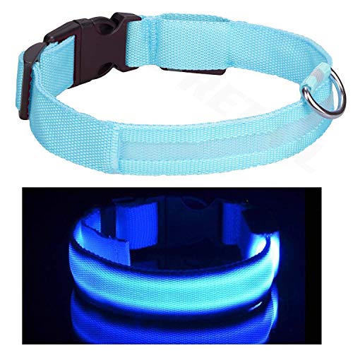 Collar de perro carlino LED azul tamaño S recargable con luz de seguridad y cable de carga USB