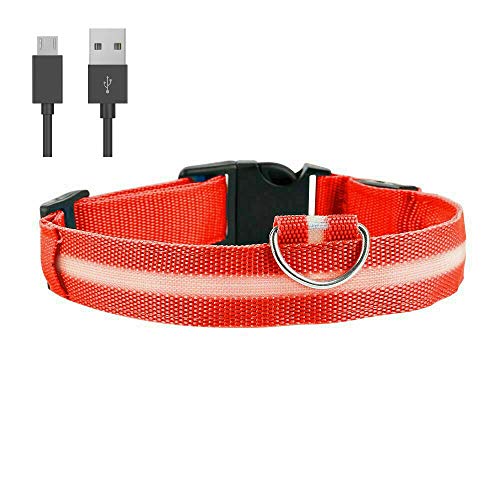 Collar de perro carlino LED rojo tamaño S recargable luz de seguridad iluminado collar de perro y cable de carga USB