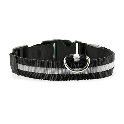 Collar de perro carlino negro LED tamaño S recargable, luz de seguridad iluminada y cable de carga USB