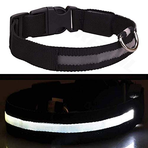 Collar de perro carlino negro LED tamaño S recargable, luz de seguridad iluminada y cable de carga USB