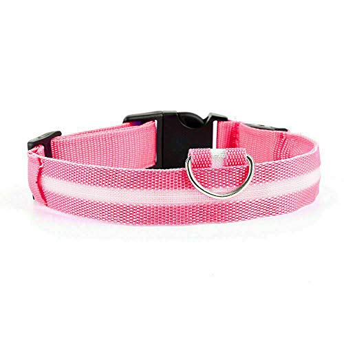 Collar de perro carlino rosa LED tamaño S recargable con luz de seguridad y cable de carga USB
