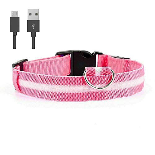 Collar de perro carlino rosa LED tamaño S recargable con luz de seguridad y cable de carga USB