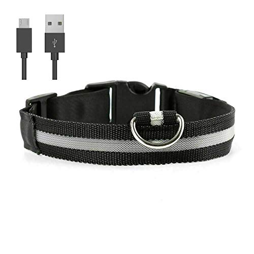 Collar de perro Doberman, color negro, LED, USB, tamaño L, recargable, con luz de seguridad, luz y cable de carga USB