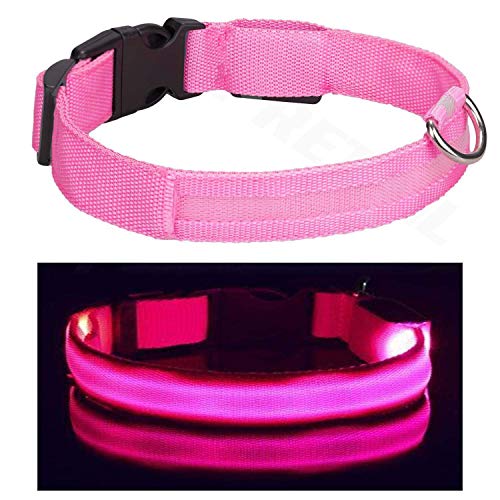 Collar de perro Doberman, color rosa, LED USB, tamaño grande, recargable, con luz de seguridad, luz y cable de carga USB