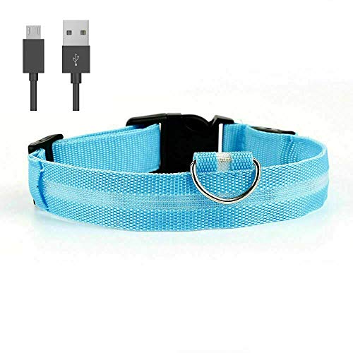 Collar de perro Doberman con luz LED azul, tamaño L, recargable, con luz de seguridad y cable de carga USB