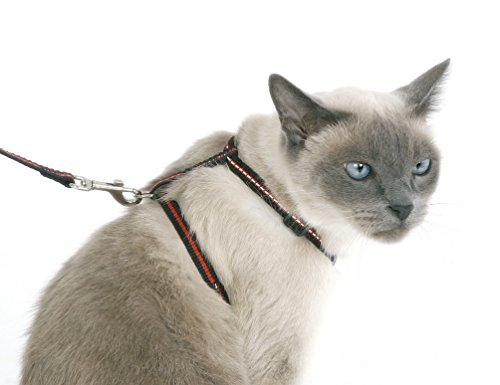 Conjunto de collar, arnés y correa para gatos, reflectante