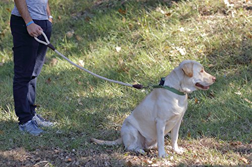 Correa para perro para perros grandes, resistente, cuerda fuerte y piel auténtica, correa de entrenamiento hecha a mano