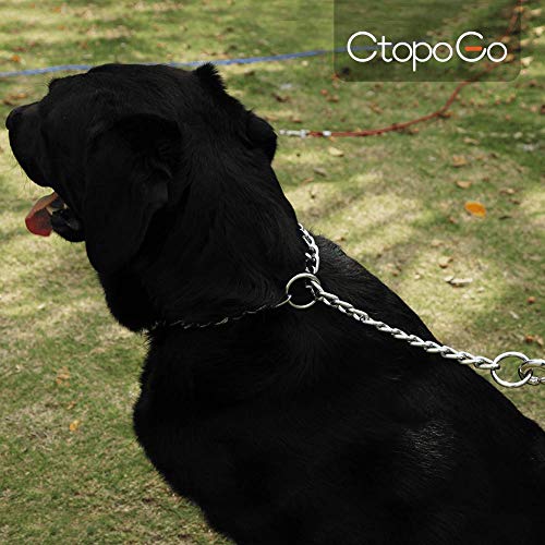 CtopoGo Perros Collares de adiestramiento - Collar Consistent para Perro Collar de Acero Cadena de Metal - Collar Adiestramiento Perro (S-2.0mm*40cm)