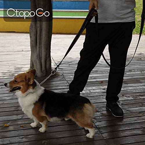 CtopoGo Perros Collares de adiestramiento - Collar Consistent para Perro Collar de Acero Cadena de Metal - Collar Adiestramiento Perro (S-2.0mm*40cm)