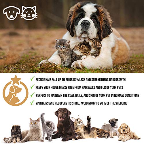 DAONLY Pack Ahorro 1 Antiinflamatorio + 1 Levadura Cerveza Sabor a Pollo para Perros y Gatos, Alternativa Natural a los medicamentos, Cuidado de Las articulaciones y Cuidado del Pelo de tu Mascota