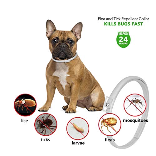DEWEL 2pcs Collar Antiparasitos Perros/Gatos contra Pulgas,Garrapatas y Mosquitos,Tamaño Ajustable e Impermeable para Mascota Pequeño Mediano Grandes
