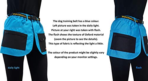 DINGO 16452 - Cinturón de Entrenamiento para Perro, para Entrenador de Agilidad, ayudante, Hecho a Mano en Estilo de Falda Deportiva, Muchos Bolsillos, Color Azul