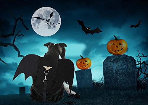 Disfraz de Gato de Halloween, murciélago de Gato con Campana de Calabaza, Disfraces de Perro, Ropa de Mascota de Halloween, para Cachorro, Gato, Mascota pequeña (Alas de murciélago para Perro)
