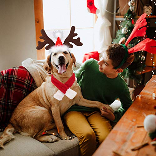 Disfraz de perro de Navidad Legendog, ajustable para la cabeza y bufanda de la mascota de Navidad para perros y gatitos, regalo (gorro, bufanda)