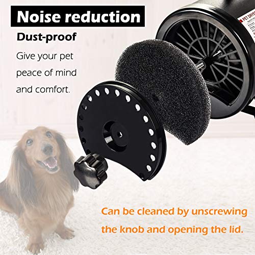 Display4top Pantalla Profesional 2800 W Low Noise Perros Cuidado secador Calor Ajustable y Velocidad (Negro)