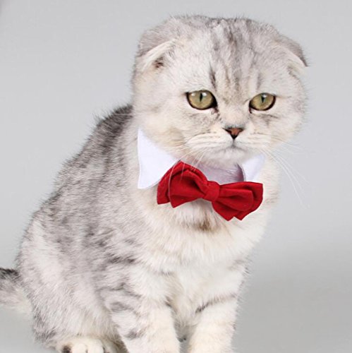 Diyafas 2 x Corbata de Mascota Collar Ajustable de Algodón Pajarita Roja Formal Bowknot para Pequeño Gato Perro Perrito