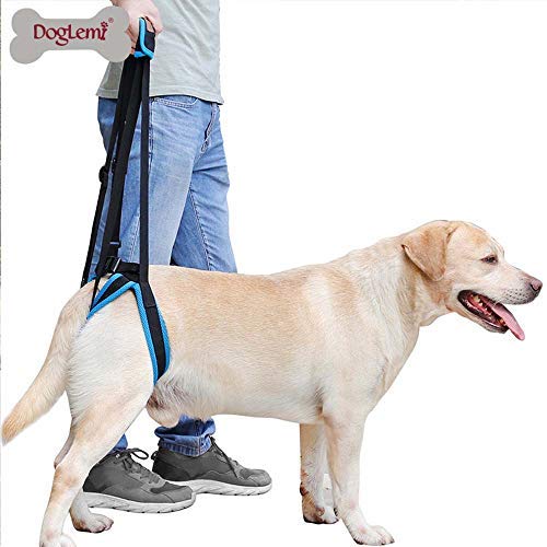 Doglemi - Arnés de elevación portátil para perros con patas traseras débiles para recuperación de cirugía y alivio del dolor