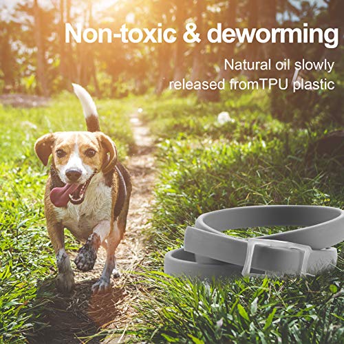 dothnix Collares Antipulgas Aantiparasitos para Perros y Gatos contra Pulgas, Garrapatas y Mosquitos, 8 Meses de Protección(63cm)