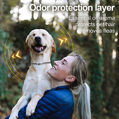 dothnix Collares Antipulgas Aantiparasitos para Perros y Gatos contra Pulgas, Garrapatas y Mosquitos, 8 Meses de Protección(63cm)