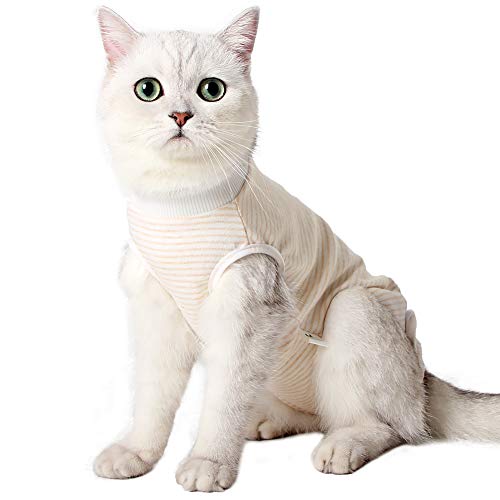 Dotoner Traje de recuperación Profesional para Gatos, Gata Camiseta de recuperación quirúrgica para heridas Abdominales Vendas Cono Cuello en Forma Alternativo(Naranja,l)