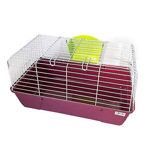 DZL- Jaula para Conejos/cobayas Cierre de Seguridad Jaula casa para Animales pequeños Jaula Conejos con Comida/Heno/Bebedero/alimentador (Aleatorio)
