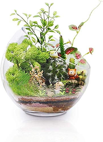 Ecosides Jarrón de cristal transparente inclinado para terrario,diseño de globo redondo de cristal con burbujas de corte ancho, para poner caramelos, plantas, flores, frutas, vidrio, 7" x7“