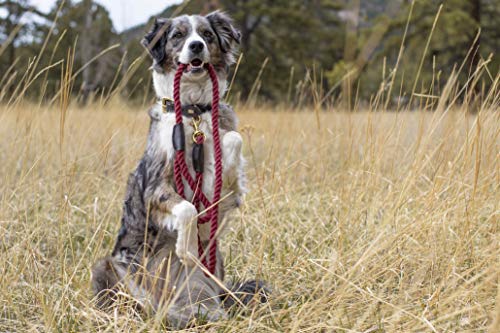 Embark Pets - Correa de cuerda para perro (algodón trenzado, con acabado de piel resistente, para perros de razas pequeñas, medianas y grandes, resistente, para entrenamiento, caminar, senderismo