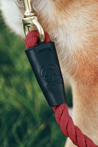 Embark Pets - Correa de cuerda para perro (algodón trenzado, con acabado de piel resistente, para perros de razas pequeñas, medianas y grandes, resistente, para entrenamiento, caminar, senderismo