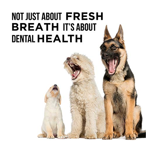 Enjuague bucal para Perros Rapport Natural - El único Enjuague bucal para Perros Que los Perros Necesitan - Aditivo de Agua para el Cuidado Dental (16 FL oz.)