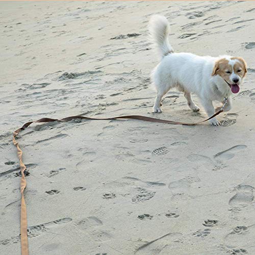Entrenamiento del perro del correo del plomo, 20FT / 6M largo del entrenamiento del perro de nylon correa for el seguimiento de mascotas Entrenamiento de la obediencia del correo del plomo (rojo) zcaq