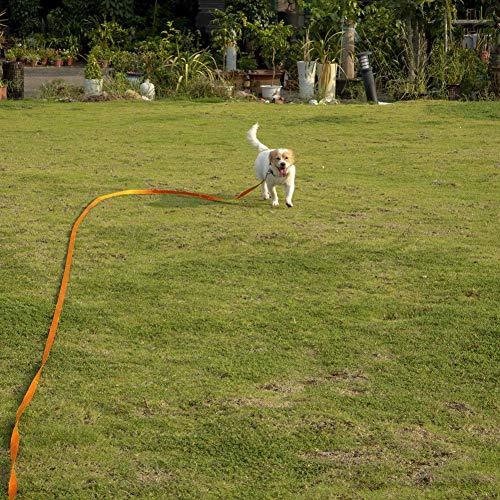 Entrenamiento del perro del correo del plomo, Correa 20FT / 6M largo del entrenamiento del perro de nylon for seguimiento de mascotas Entrenamiento de la obediencia del correo del plomo zcaqtajro
