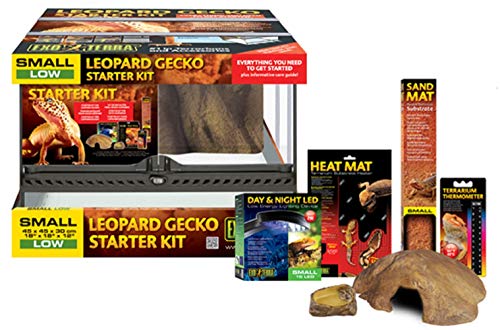 Exo Terra Kit de Incio para Gecko
