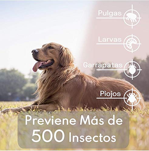Fallcon Collar Antiparasitos Perros Natural contra Pulgas,Garrapatas y Mosquitos,Tamaño Ajustable e Impermeable para Mascota Pequeño Mediano Grandes